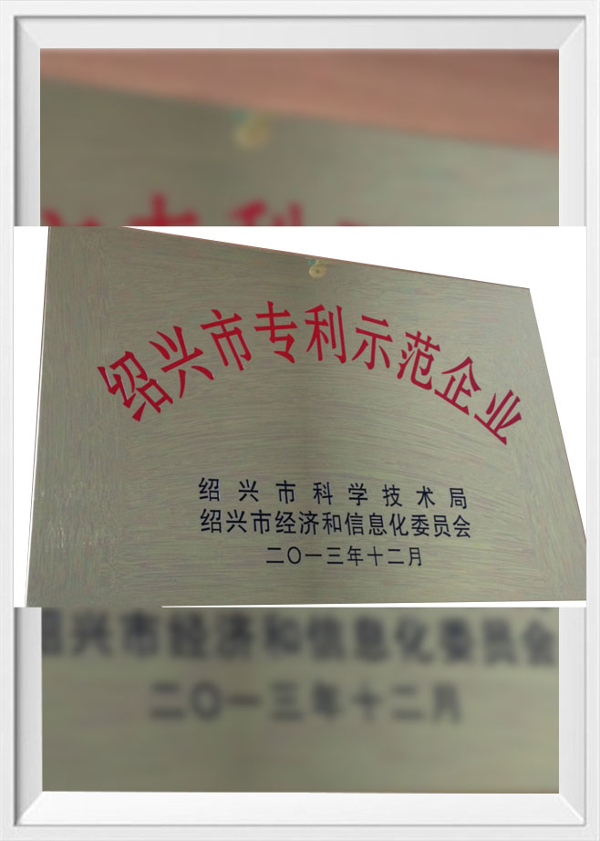 绍兴市专利示范企业